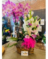 Arrangement Combo 