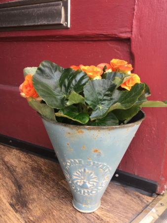 ARRANGEMENT/GIFT/HOME ARRANGEMENT/GIFT/HOME