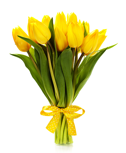 Arrietta Bouquet