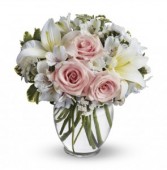 Arrive In Style Everyday, Celebration, Anniversary, Birthday, Love, Romance