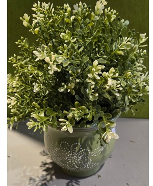 ARTIFICIAL GREEN PLANT 5w x 9 h