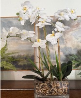 Artificial Orchid Planter 