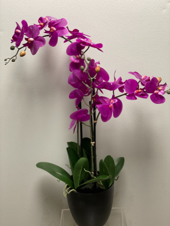 Artificial Potted Orchid   