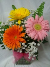 "GERBERA BRIGHTS" arranged in a cube vase   OR MASON JAR with baby's breath OR ANOTHER FILLER.. 