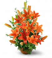 Asiatic Lily Basket  