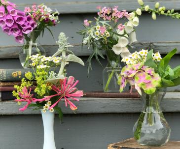 Assisted living Posy subscription in Beloit, OH | American Flower Farm & Florist Assisted living Posy subscription in Beloit, OH | American Flower Farm & Florist