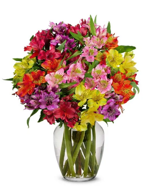 Assorted Alstromeria Bouquet 