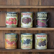 Assorted Berry Cans, 6 styles to choose from Gifts