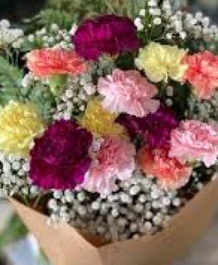 Assorted Carnations 1 Dozen Wrapped