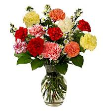 Assorted  Carnations Vasaed Arrangements