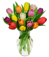 Assorted colored tulip bouquet