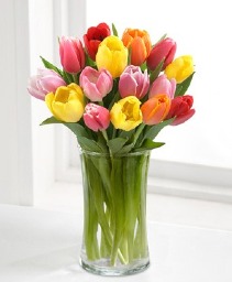 Assorted Colour Tulips Arranged  