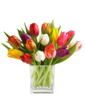 Assorted colour tulips in a vase  