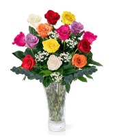 Assorted Dozen Roses 