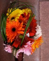 Assorted Gerberas Bouquet  (Janke Photography) 