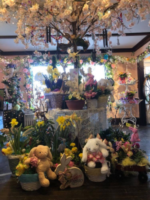 Assorted Live Easter Plant Basket! Plant Basket 