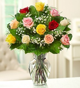 Assorted Long Stem Roses Premium Dozen Roses