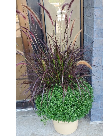 assorted mums with grass 