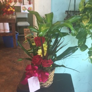 assorted planter/basket accented with afew flowers