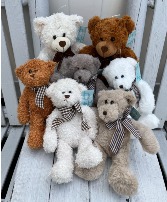 Assorted Plush Bears Stuffed Animals