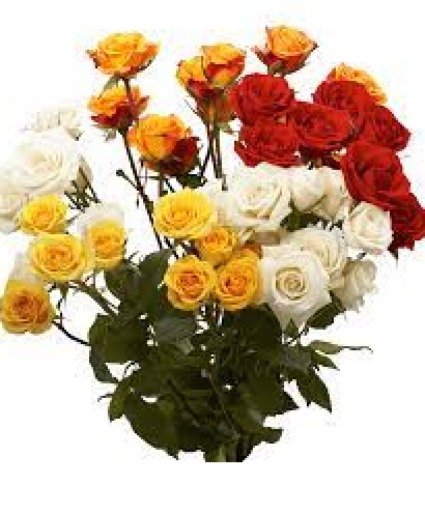 Assorted Spray Roses (10 stem Ct)- WRAPPED