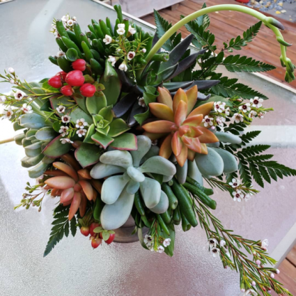 Assorted Succulents  Bridal Bouquets