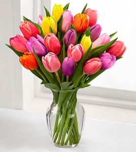 Assorted Tulip Bouquet
