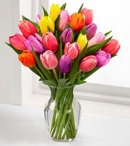 Assorted Tulip Bouquet  
