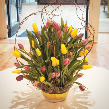 Assorted Tulip Bowl Get well soon