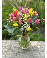 Assorted Tulip vase   tulip vase 