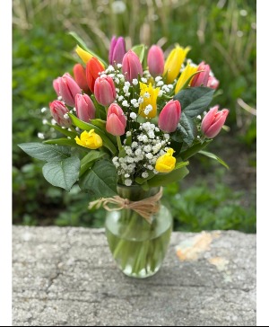 Assorted Tulip vase   tulip vase 
