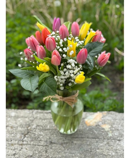 Assorted Tulip vase tulip vase