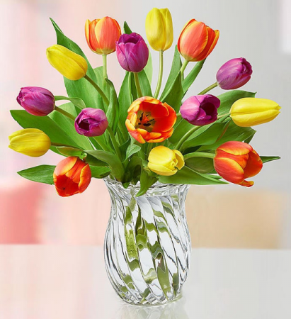 Assorted Tulips