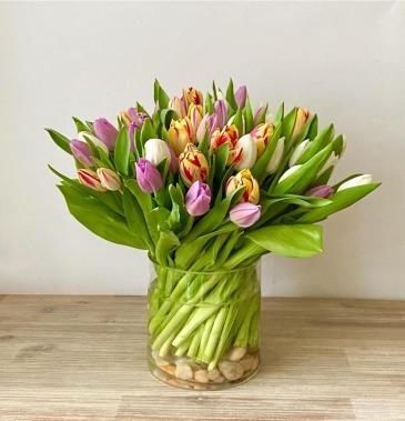 Assorted Tulips  in Frederick, MD | Maryland Florals