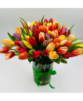 Assorted Tulips 