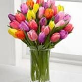 Assorted Tulips Premium Bouquet Shown $75.00 (30 T Spring