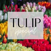 Assorted Tulips Vase Arrangenment