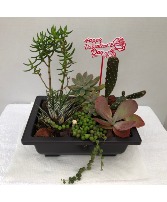 Assorted Valentine's Day Succulents Dish Garden Succulents in 9"x6.5"x3.25" tray