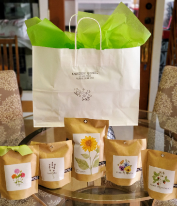 Assortment Growing Plants kit GIFT BAG