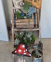 Asst. Succulent gardens Plant arrangement