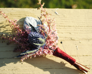 Astilbe Thistle Delight 