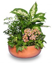 Garden Planter Green & Blooming Plants