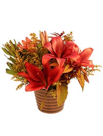 Autumnal Floral Arrangement