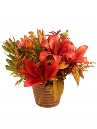 Autumnal Floral Arrangement in Canon City, CO | TOUCH OF LOVE FLORIST AND WEDDINGS