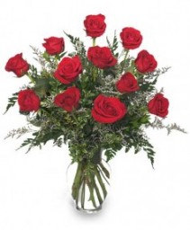 Classic Dozen Roses Red Rose Arrangement