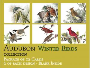Audubon Card Set Winter Birds A2 Size, No message on front, blank inside
