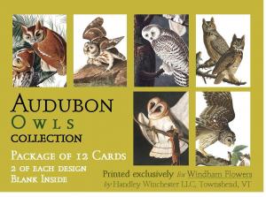 Audubon Card Set Owl Collection Set of 12 Cards