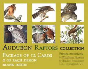 Audubon Card Set Raptor Collection