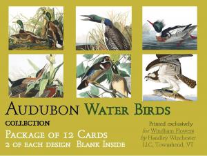 Audubon Card Set Water Birds Package of 12 Cards