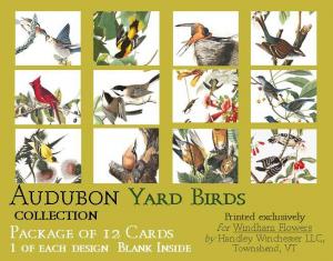 Audubon Card Set Yard Birds A2 Size